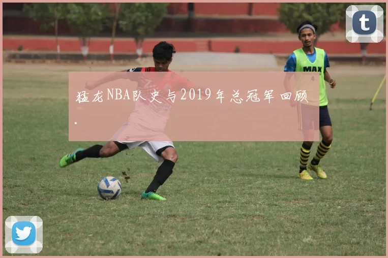 猛龙NBA队史与2019年总冠军回顾 .