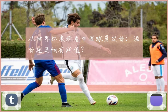 从世界杯表现看中国球员定价:溢价还是物有所值?