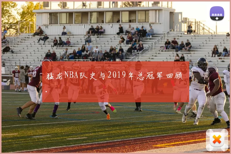 猛龙NBA队史与2019年总冠军回顾 .