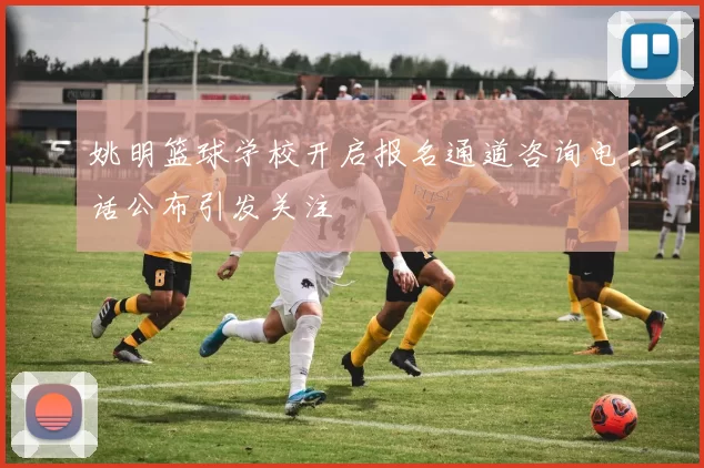 姚明篮球学校开启报名通道咨询电话公布引发关注