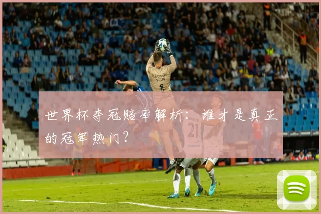 世界杯夺冠赔率解析:谁才是真正的冠军热门?