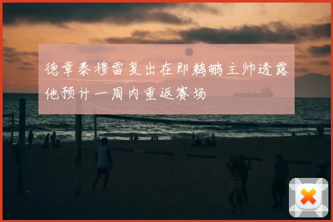 德章泰穆雷复出在即鹈鹕主帅透露他预计一周内重返赛场