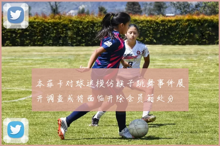 本菲卡对球迷模仿猴子跳舞事件展开调查或将面临开除会员籍处分