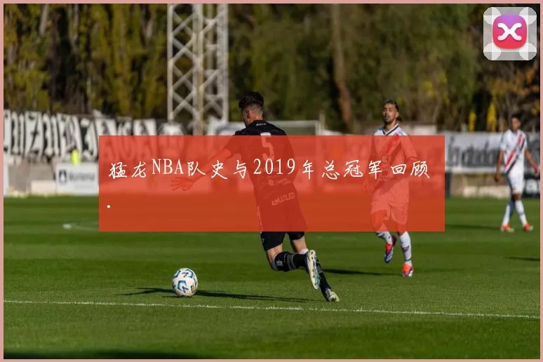 猛龙NBA队史与2019年总冠军回顾 .