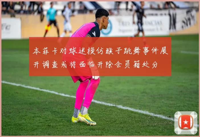 本菲卡对球迷模仿猴子跳舞事件展开调查或将面临开除会员籍处分