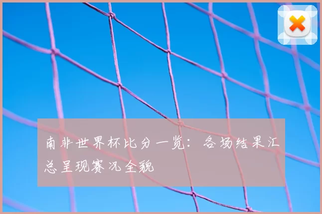 南非世界杯比分一览:各场结果汇总呈现赛况全貌