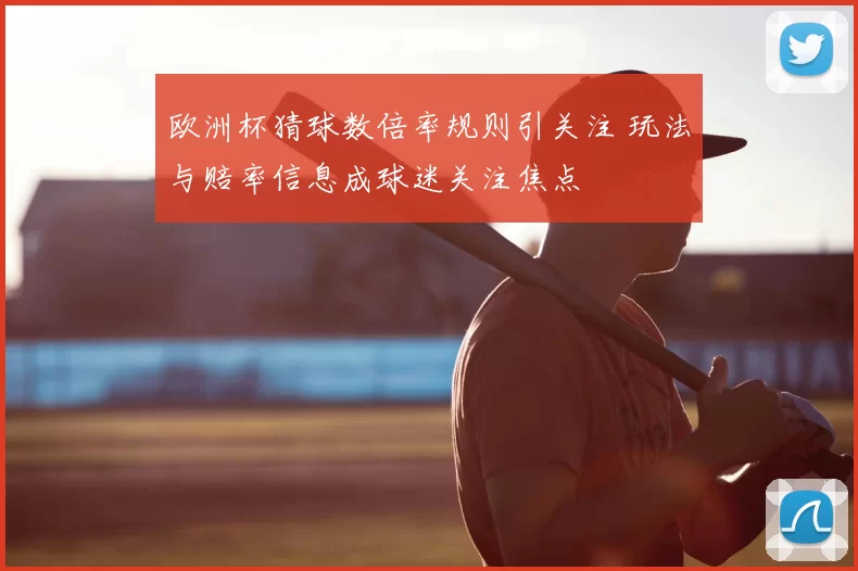 欧洲杯猜球数倍率规则引关注 玩法与赔率信息成球迷关注焦点