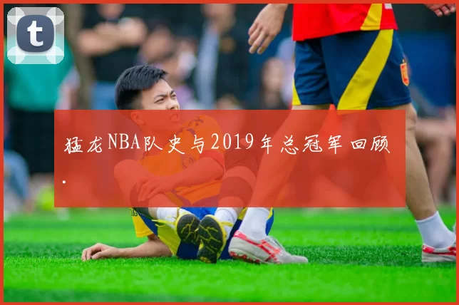 猛龙NBA队史与2019年总冠军回顾 .