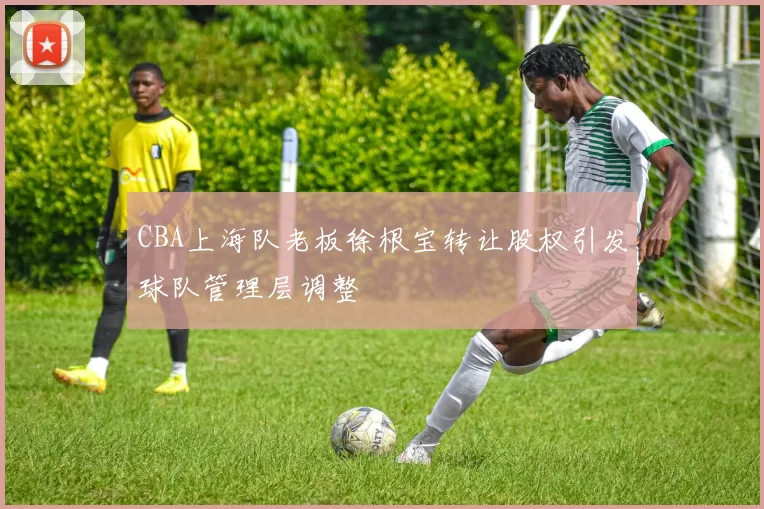 CBA上海队老板徐根宝转让股权引发球队管理层调整