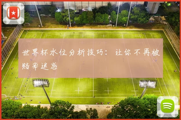 世界杯水位分析技巧：让你不再被赔率迷惑