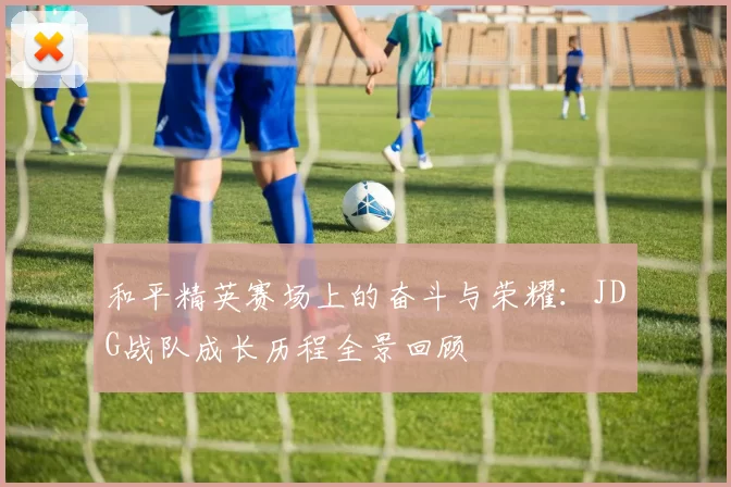 和平精英赛场上的奋斗与荣耀:JDG战队成长历程全景回顾