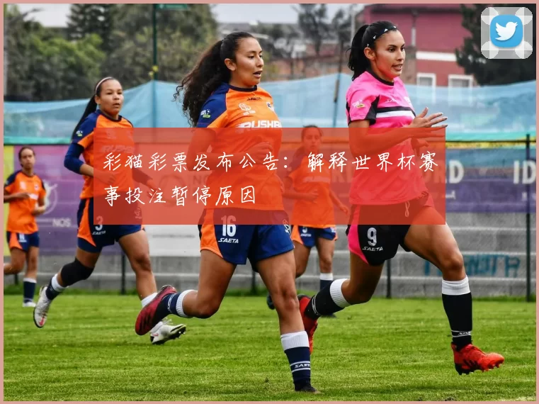 彩猫彩票发布公告:解释世界杯赛事投注暂停原因