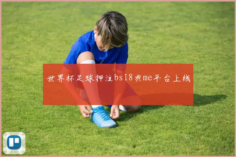世界杯足球押注bs18典me平台上线