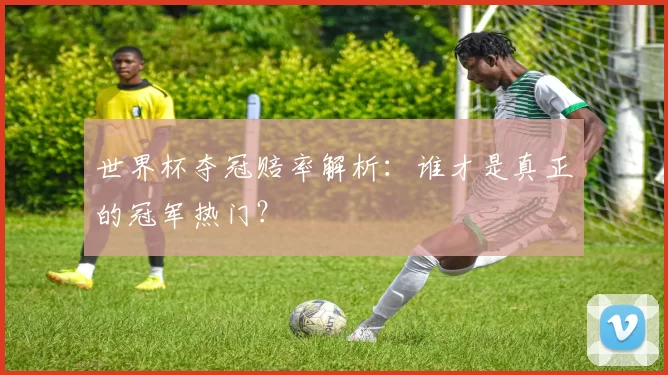 世界杯夺冠赔率解析:谁才是真正的冠军热门?