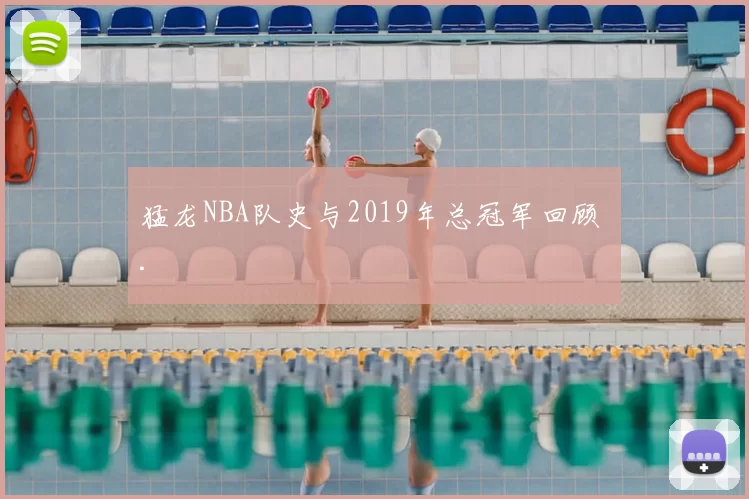 猛龙NBA队史与2019年总冠军回顾 .