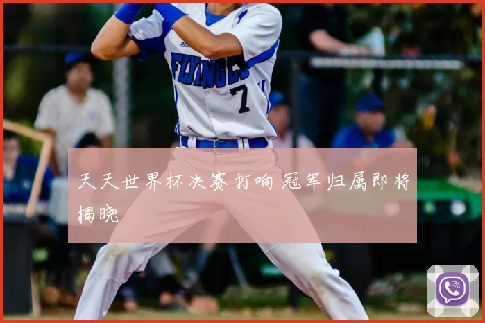 天天世界杯决赛打响 冠军归属即将揭晓