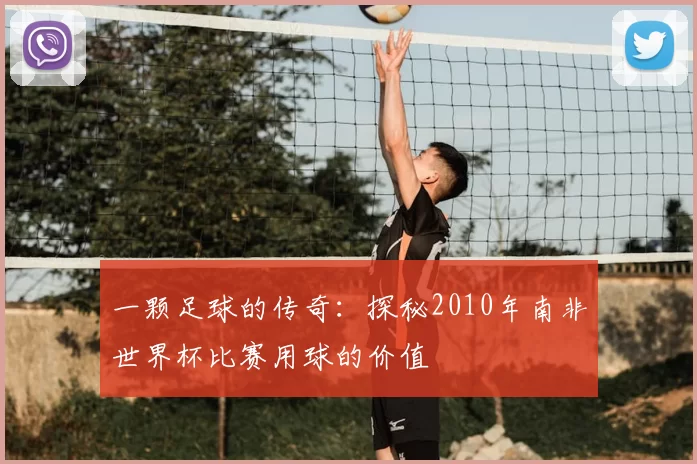 一颗足球的传奇:探秘2010年南非世界杯比赛用球的价值