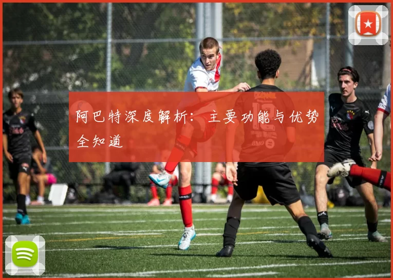 阿巴特深度解析:主要功能与优势全知道