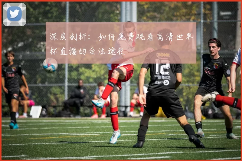 深度剖析:如何免费观看高清世界杯直播的合法途径