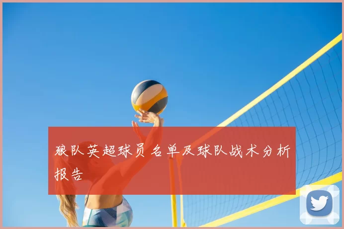 狼队英超球员名单及球队战术分析报告